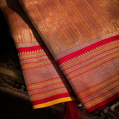 Traditional Paithani Saree with Anmol Jari and Meenakari 1 - Jagmohini