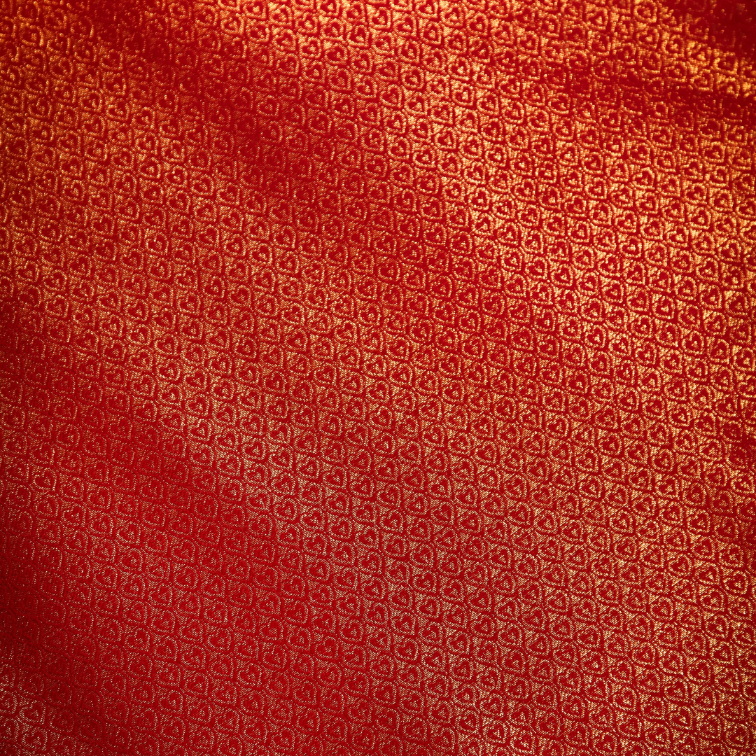 Traditional Dharmawaram Saree with Nylon Jari Work 2 - Jagmohini