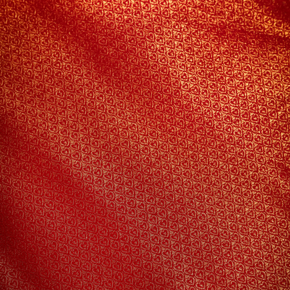 Traditional Dharmawaram Saree with Nylon Jari Work 2 - Jagmohini