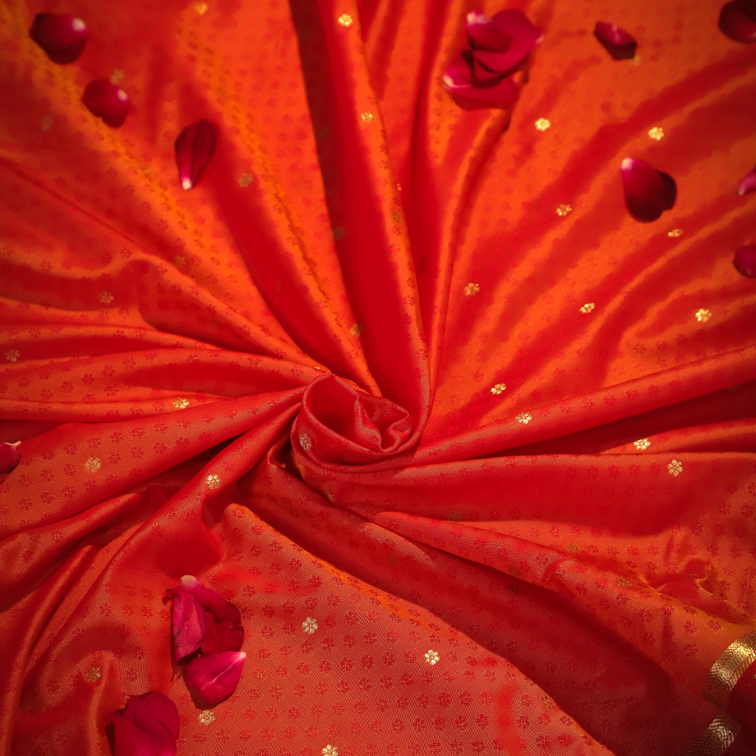 Soft Silk Katan Saree with Anmol Jari 1 - Jagmohini