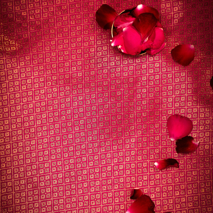 Soft Silk Katan Saree with Anmol Jari 4 - Jagmohini