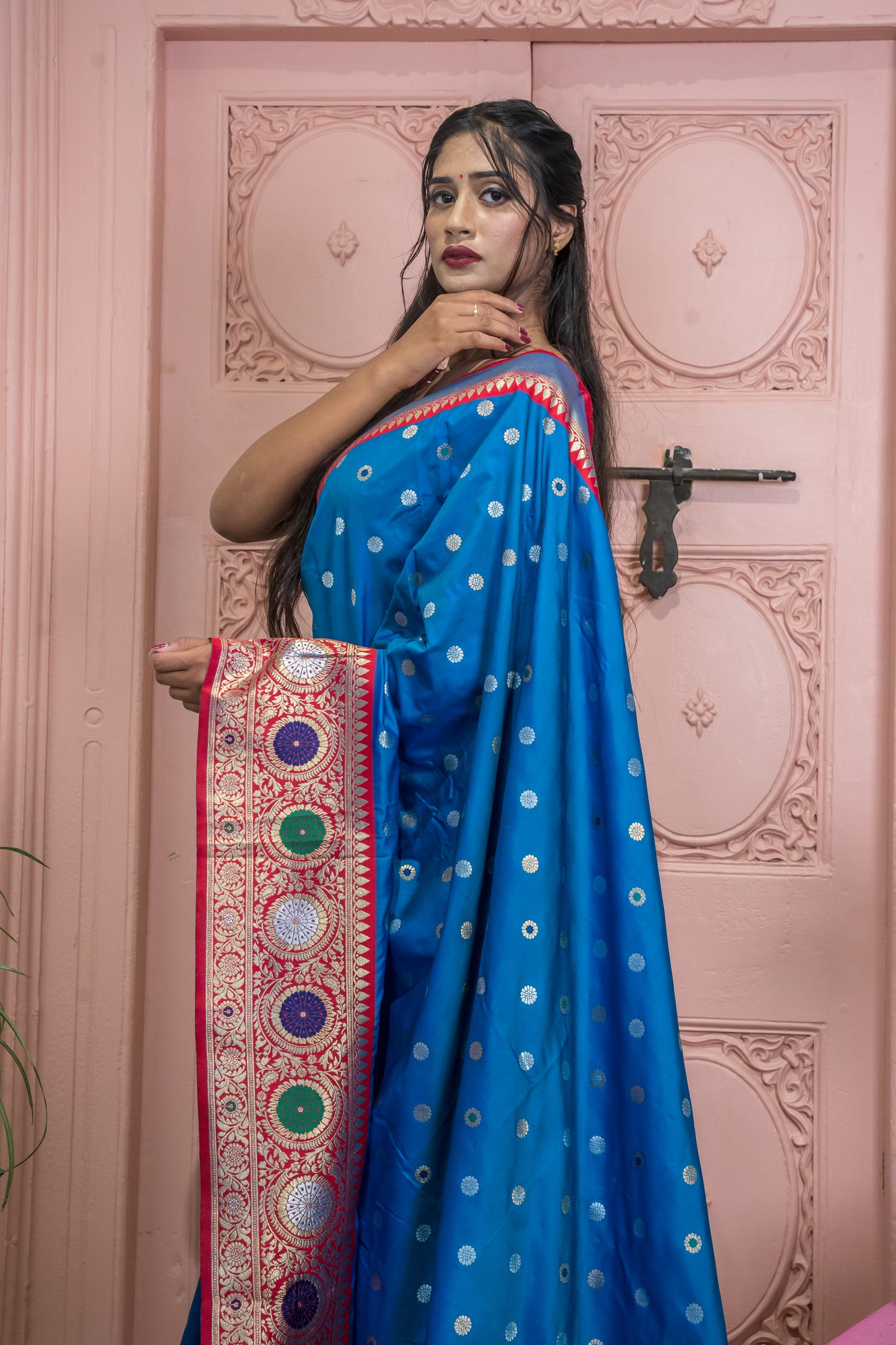 Banarasi Silk Saree with Circular Zari Motifs & Ethnic Border Design (Blue)