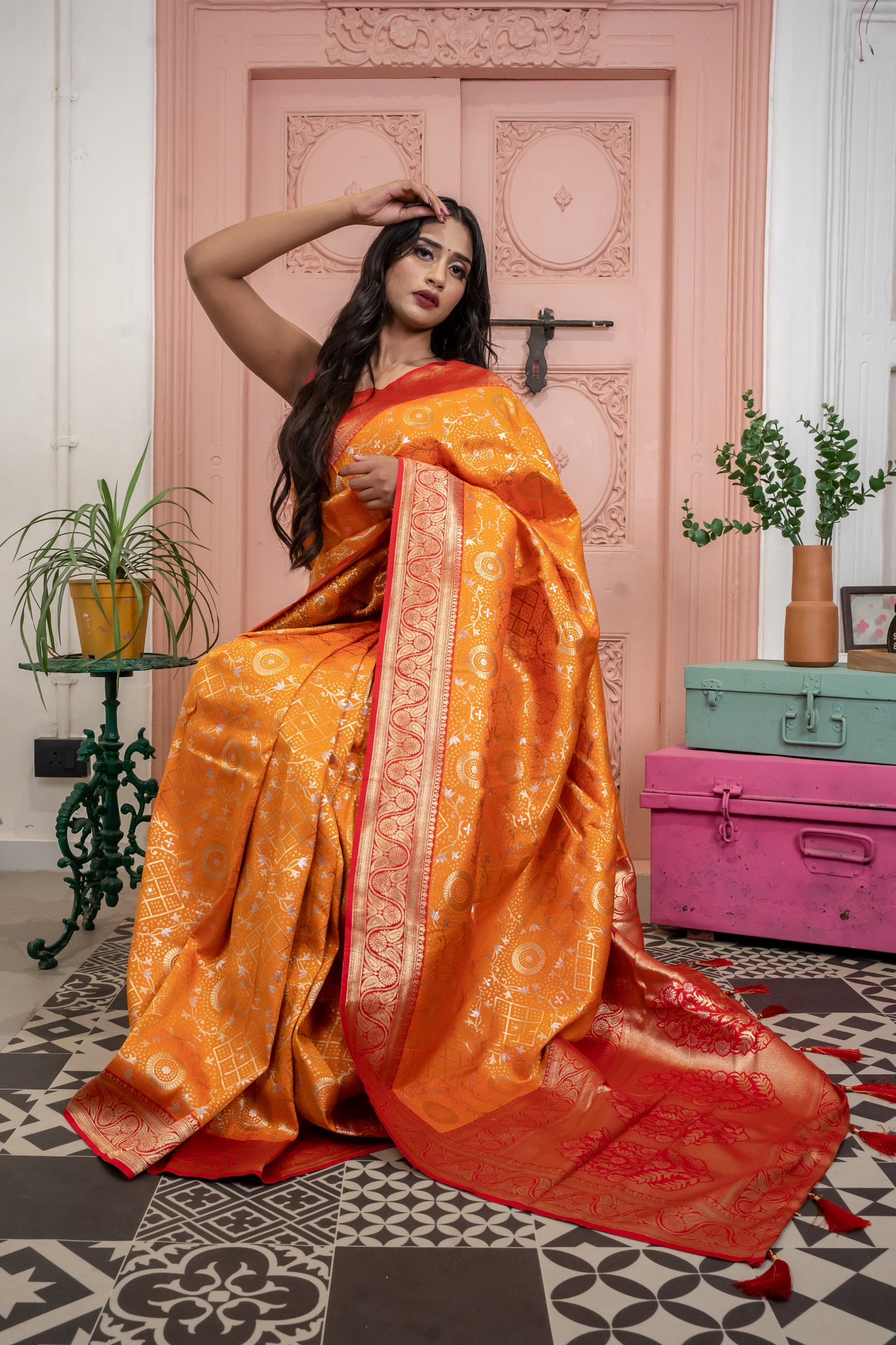 Banarasi Silk Saree with Circular Zari Motifs and Elegant Contrast Border (Orange)