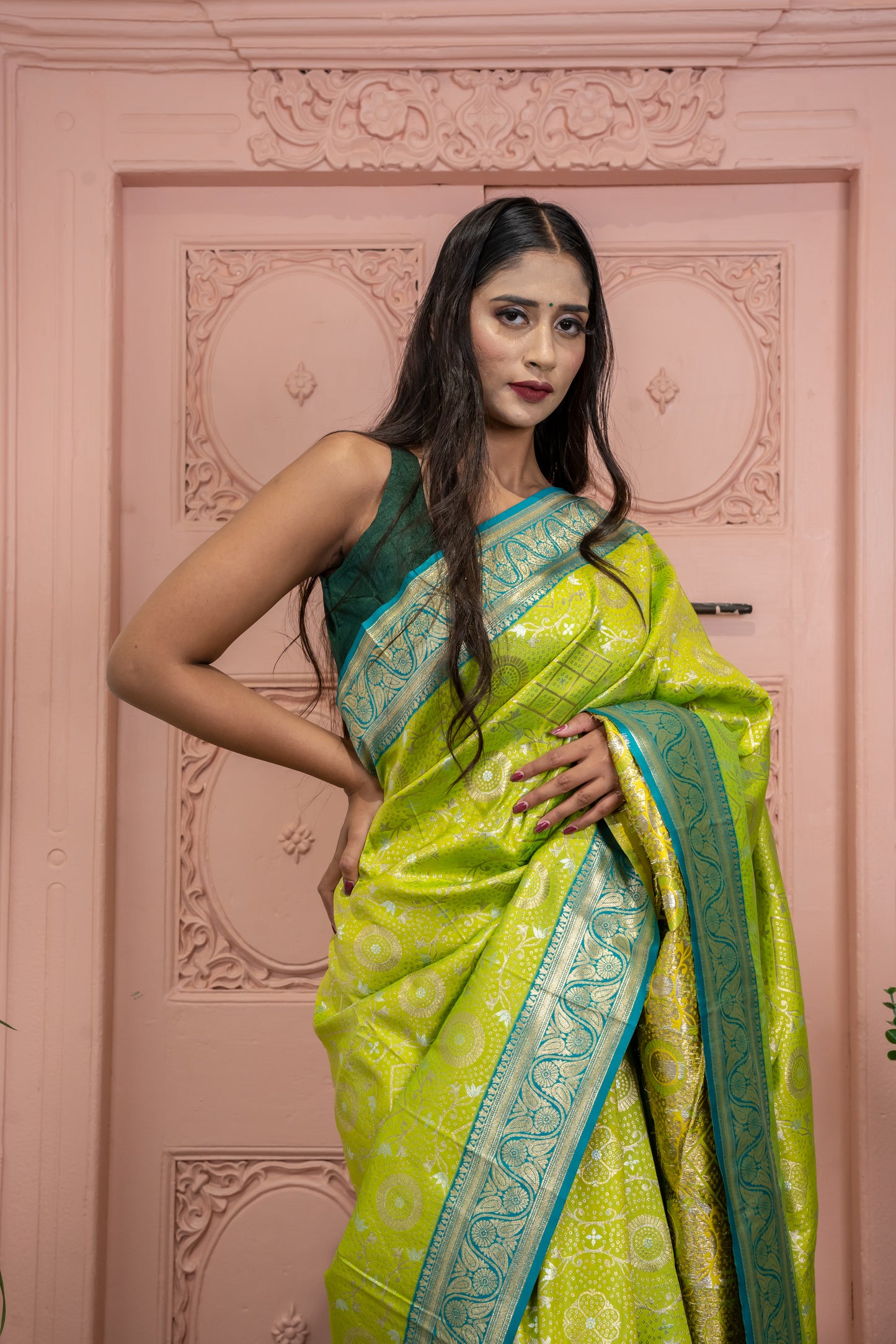 Banarasi Silk Saree with Circular Zari Motifs and Elegant Contrast Border (Lemon Green)