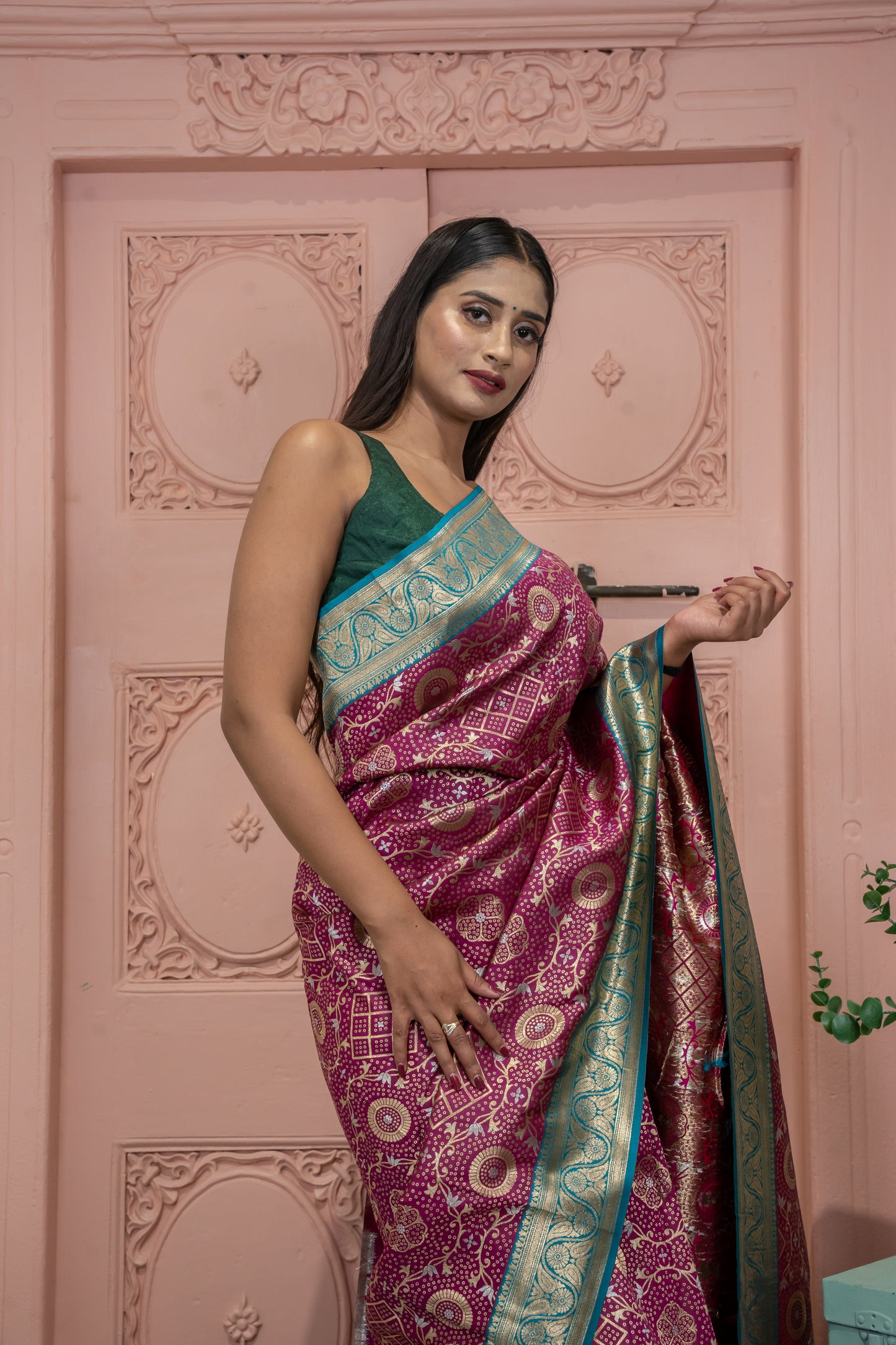 Banarasi Silk Saree with Circular Zari Motifs and Elegant Contrast Border (Purple)